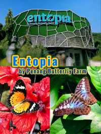 🐛🌺🦋🌿 A Magical World of Butterflies at Entopia Penang.