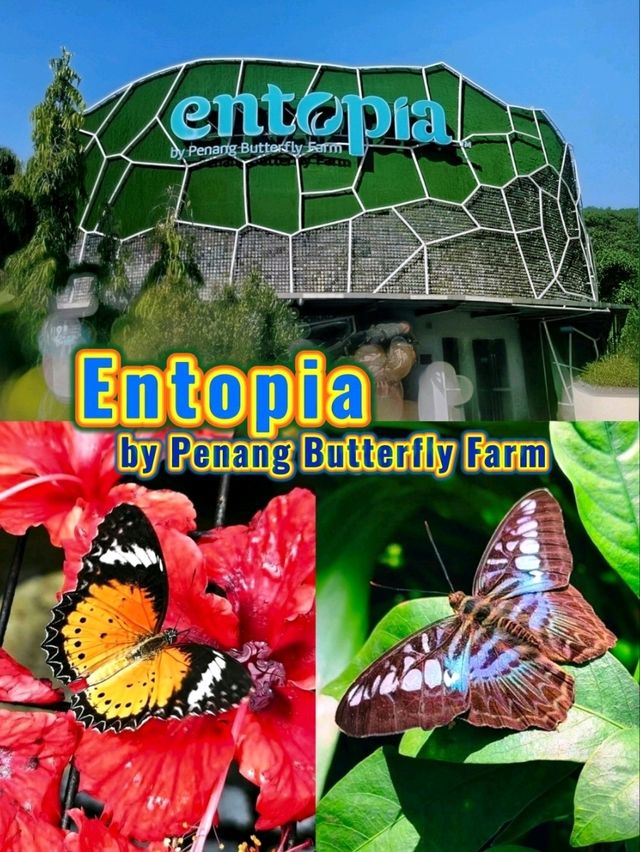 🐛🌺🦋🌿 A Magical World of Butterflies at Entopia Penang.