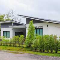 หลงเขา ภูผาม่าน🌿
