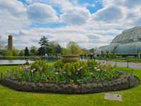 🇬🇧영국 리치먼드 완전정복!