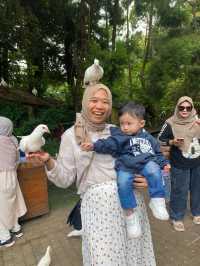 Farm House Lembang, Seruw