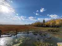 Autumn Wetlands and Snow-Capped Peaks Reflecting Each Other in Taxkorgan