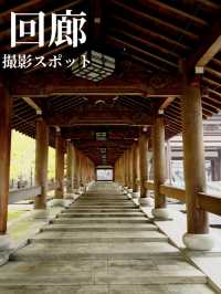 大仏殿や五重塔に向かう廻廊 フォトスポットとしても人気