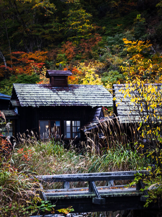 Tsuru-no-yu – สถานที่ที่เราแวะมาเยือนแม้ไม่ได้พัก