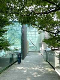 🎨 Art & Light-Filled Moments at POLA Museum of Art, Hakone