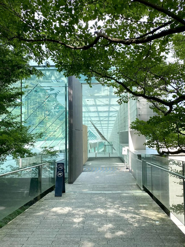 🎨 Art & Light-Filled Moments at POLA Museum of Art, Hakone
