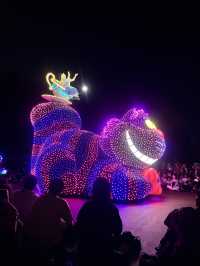 🎆夜の魔法が輝く|Tokyo Disneyland Electrical Parade Dreamlights