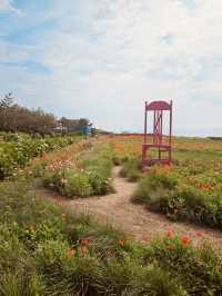 Experience Authentic Udo Island Charm