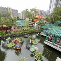 Limited budget but unlimited experience