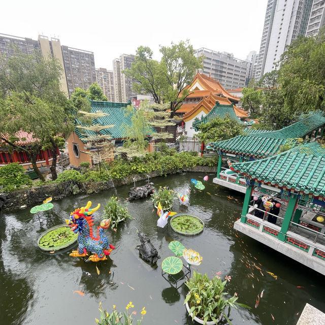 Limited budget but unlimited experience Limited budget but unlimited experience