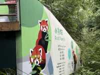 Side trip from Chengdu