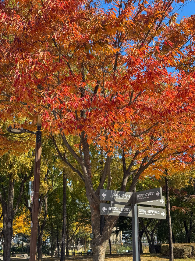 가을을 느끼기 좋은 서울 공원 추천
