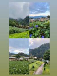 ที่พักโฮมสเตย์ เชียงใหม่ชื่อ   เจอเขา โฮมสเตย์