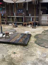 🌿 เปิดวาร์ป “แดนเทวดา” คาเฟ่ที่เล่นใหญ่ที่สุดดดดด