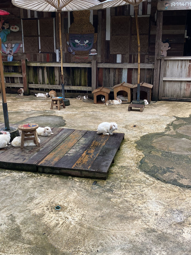 🌿 เปิดวาร์ป “แดนเทวดา” คาเฟ่ที่เล่นใหญ่ที่สุดดดดด 🌿 เปิดวาร์ป “แดนเทวดา” คาเฟ่ที่เล่นใหญ่ที่สุดดดดด