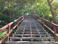 The Bright Fuzhou Shan Park in Da'an District, Taipei City, Taiwan