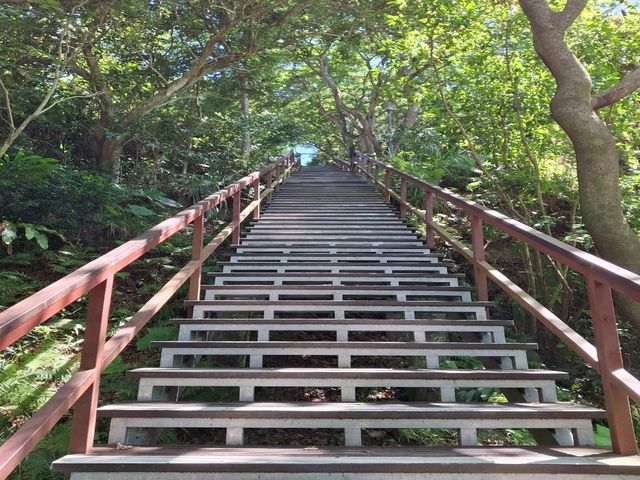 The Bright Fuzhou Shan Park in Da'an District, Taipei City, Taiwan The Bright Fuzhou Shan Park in Da'an District, Taipei City, Taiwan