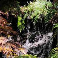 Ayrlies Garden and Wetlands