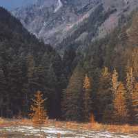 Chengdu > Huanglong > Jiuzhaigou > Chengdu 3 วัน 2