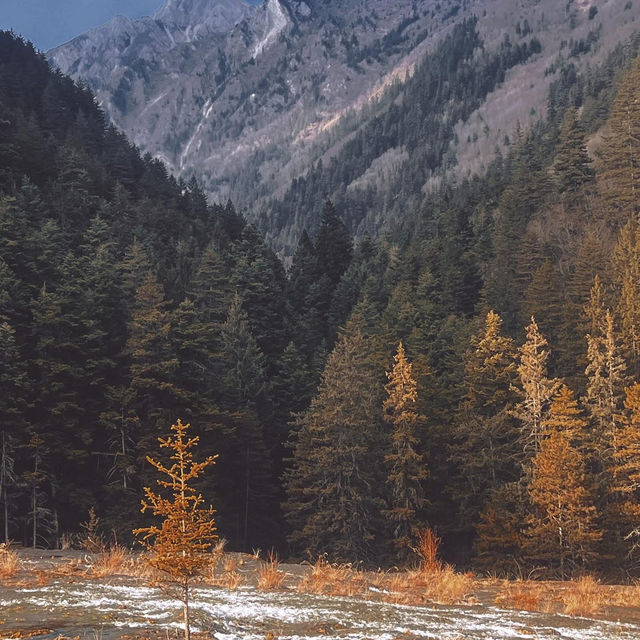 Chengdu > Huanglong > Jiuzhaigou > Chengdu 3 วัน 2