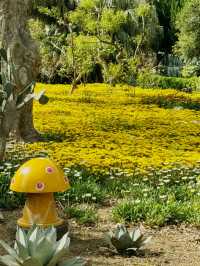 韓國🇰🇷翰林公園