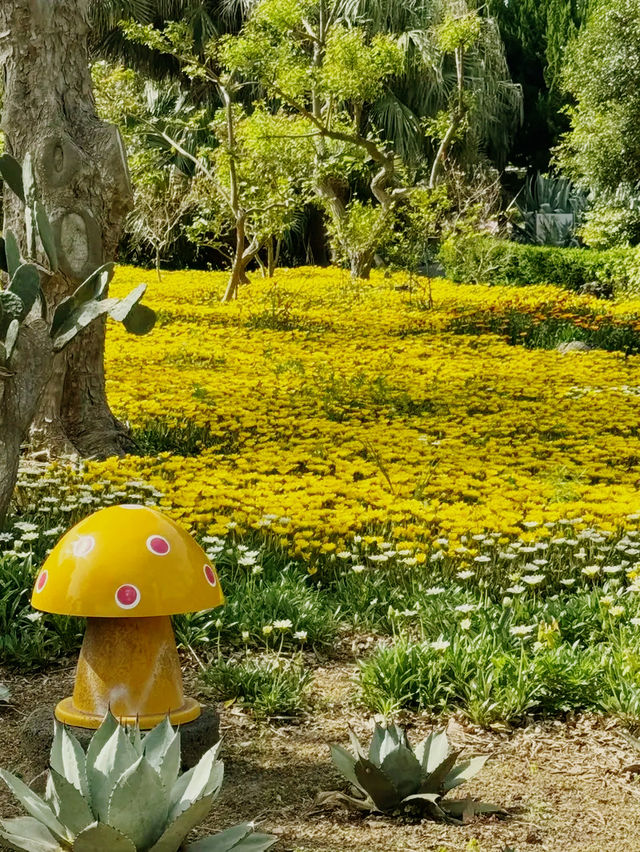 韓國🇰🇷翰林公園