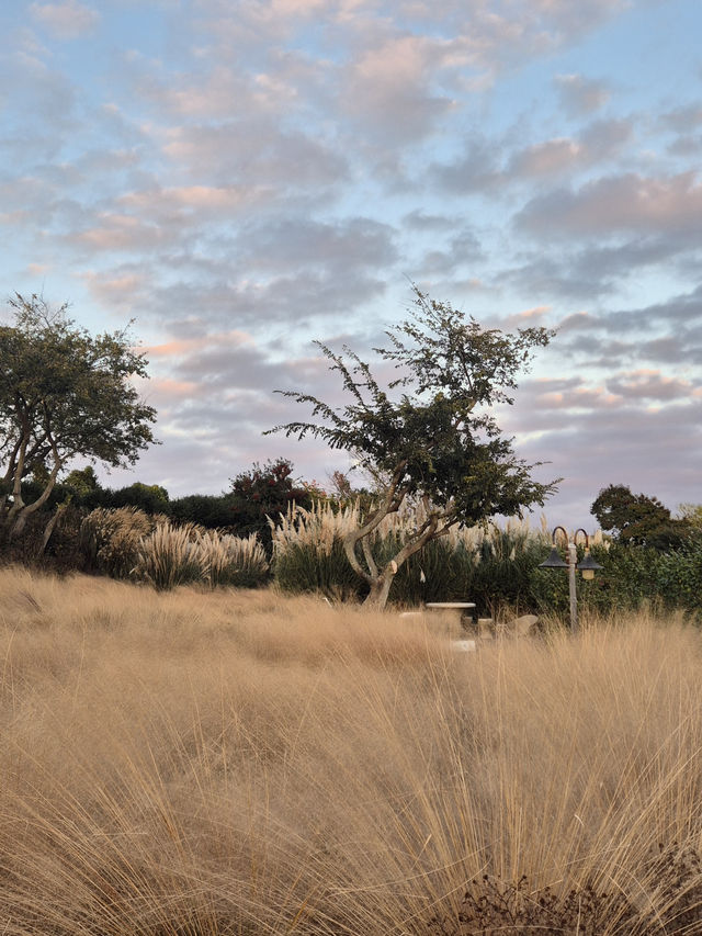 ๐ฟ ์ ์ฃผ์์ ๋ง๋๋ ๊ฐ์ฑ ๊ฐ๋ํ ๊ณต๊ฐ, ๋ง๋
ธ๋ฅด๋ธ๋ ๐ฟ ๐ฟ ์ ์ฃผ์์ ๋ง๋๋ ๊ฐ์ฑ ๊ฐ๋ํ ๊ณต๊ฐ, ๋ง๋
ธ๋ฅด๋ธ๋ ๐ฟ