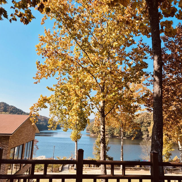 Cheongnamdae (청남대) – An Exclusive, Dignified Oasis