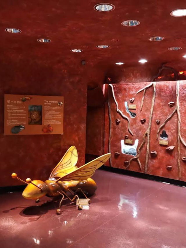 Hong Kong Heritage — бесплатный музей Гонконга Hong Kong Heritage — бесплатный музей Гонконга