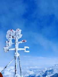 Glacier Dreamscape❄️