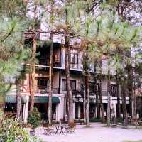 Nature-Lover’s Dream Stay: Cozy Hotel Review 🏡🌲