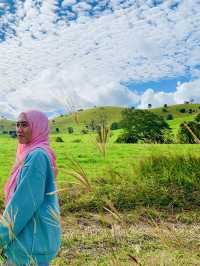 🇦🇺Gold Coast, Brisbane & Beyond: The 7-Day Queensland Explorer