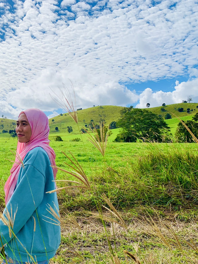 🇦🇺Gold Coast, Brisbane & Beyond: The 7-Day Queensland Explorer