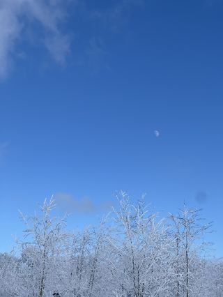 在長白山北門區感受霜雪的魅力