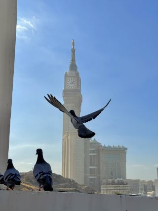 Mecca & Medina Moments🕊️