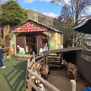 Fukuoka Travel Itinerary: 3 Nights and 4 Days Including Yufuin and Beppu