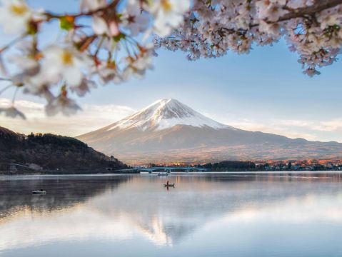 富士山周辺の春の散策 | Trip.com 富士山