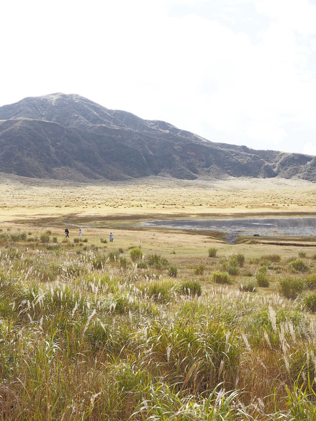 大自然満喫!春から秋にオススメの阿蘇の絶景スポット