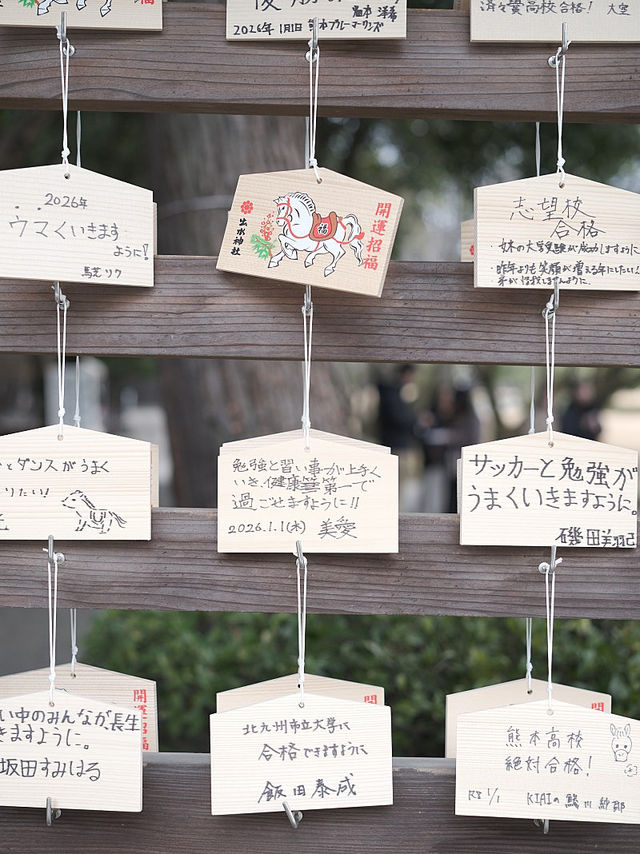 광활한 자연 속에서 만나는 여유 광활한 자연 속에서 만나는 여유