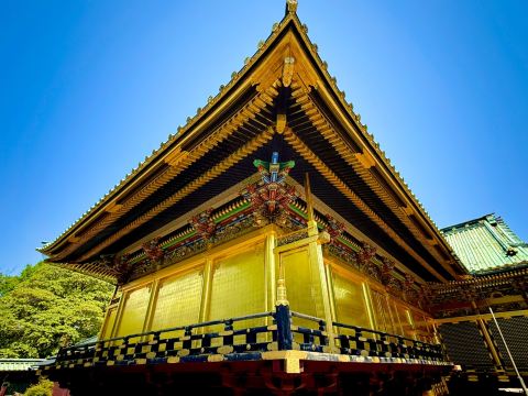 上野東照宮の見どころ完全攻略！金色殿の歴史から唐門の昇り龍まで徹底解説
