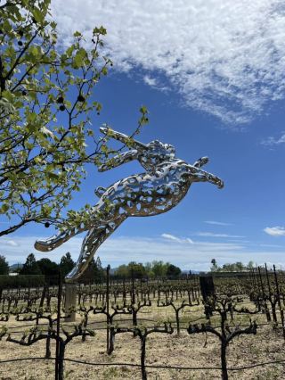 在 Napa Valley 的一場品酒,認識了 Hall Wines 的靈魂。

這不只是喝 Cabernet Sauvignon,而是一次「風土的旅程」——同一個品種,卻因山頭、氣候與土壤,展現出截然不同的個性。

從一杯清新的 Sauvignon Blanc 開場,柑橘與白花香氣像晨光一樣乾淨俐落,輕輕喚醒味蕾。接著進入紅酒的層次世界:
Eighteen Seventy-Three 2021 帶來優雅與結構的平衡,細緻而內斂;
Jack’s Masterpiece 2023 則更成熟飽滿,黑莓與香草氣息圓潤迷人。

當風味走向山區,個性開始變得鮮明。
Diamond Mountain 2021 有著礦石與煙燻氣息,結構緊實而有力量;
Mount Veeder 2021 則多了一點草本與清新線條,在濃郁之中保有一絲俐落與張力。

來到 Montagna Vineyards 2023,風味達到高峰——濃縮的黑色水果、巧克力與咖啡交織,層次深邃而悠長,是時間與工藝的凝結。

最後以 Stags Leap District 2022 收尾,單寧細緻、口感柔順,在優雅中畫下一個完美句點。

這一輪品飲讓人真正理解:
風土不是抽象概念,而是可以被喝出來的差異。

在濃郁與力量之間,依然能找到平衡與精緻——這正是 Hall 的魅力。