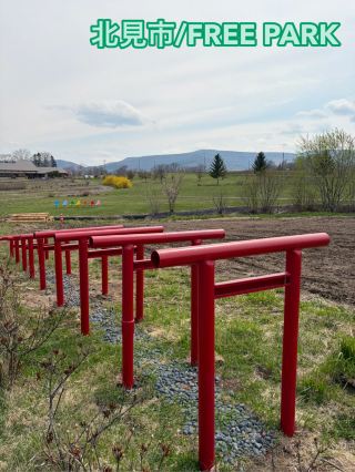 自然・食・体験がそろう北海道のFREE PARK💐✨