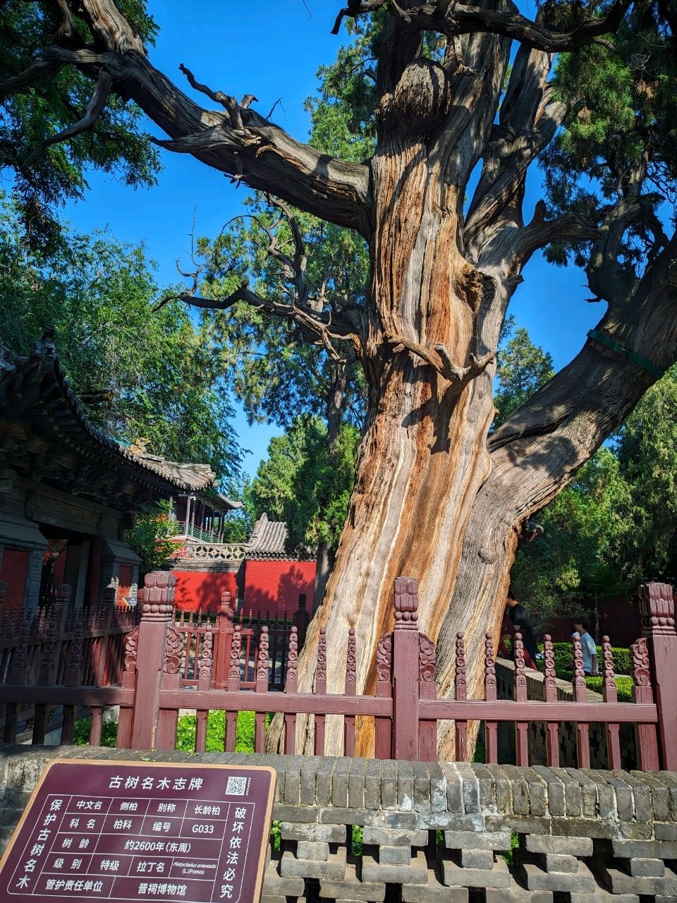 Taiyuan live museum - Jinci