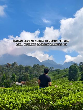 STAYCATION IN THE MIDDLE OF A TEA PLANTATION.
