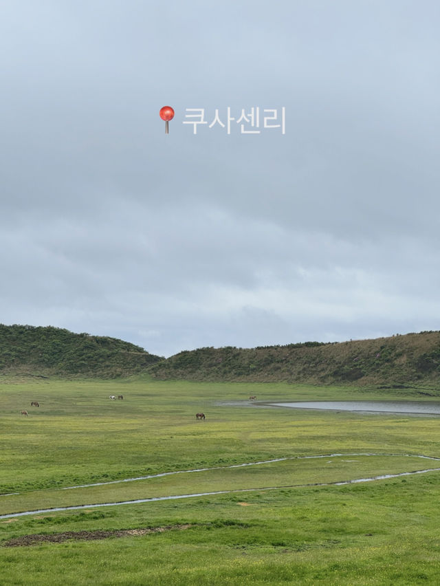 🧸구마모토 여행가이드🧸