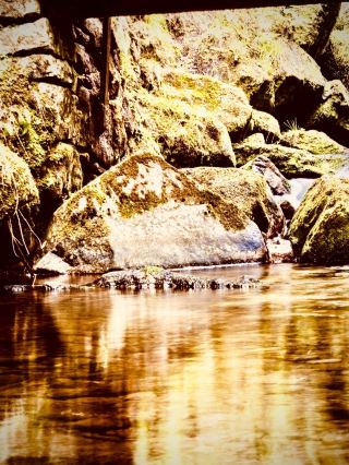 Laguna de Iguaque is a Chibcha sacred lake inside the Iguaque Flora & Fauna Sanctuary, 3,640 m, 45 m