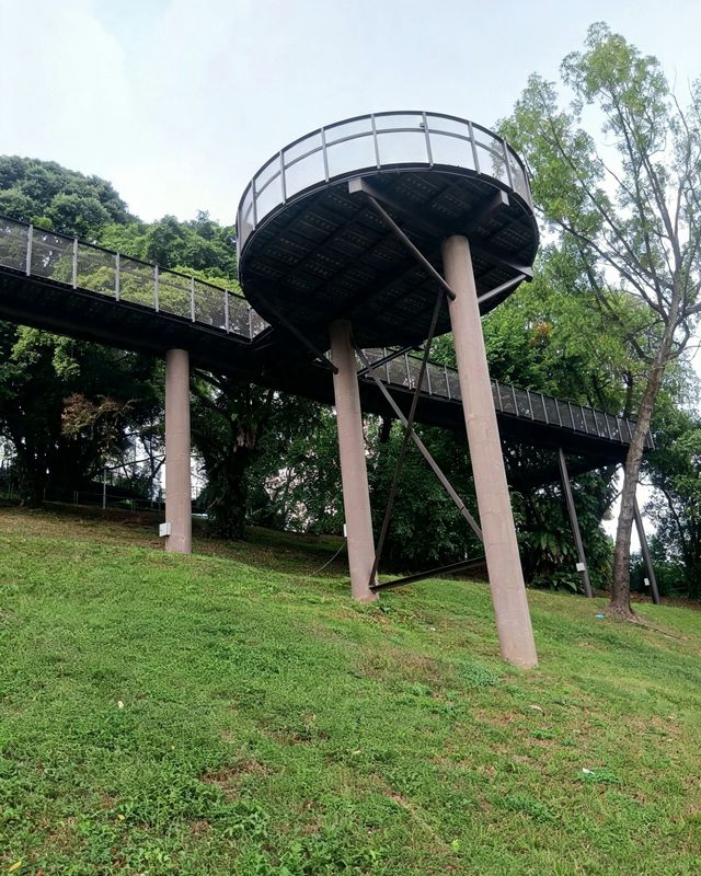 🌿✨ My Stroll at Bukit Batok Neighbourhood Park — A Peaceful West Side Escape! 🇸🇬