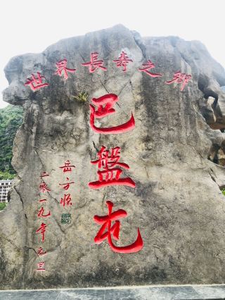 Explore Bama Longevity Village! A Hidden Wellness Paradise: Experience the Charm of the World's Hometown of Longevity.