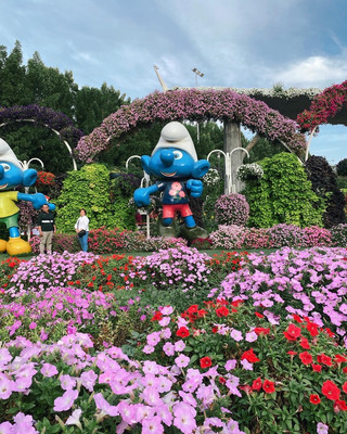 Miracle Garden - 沙漠中的花卉天堂 