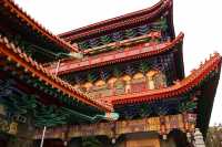 🇭🇰 Discovering Hong Kong's Giant Buddha
